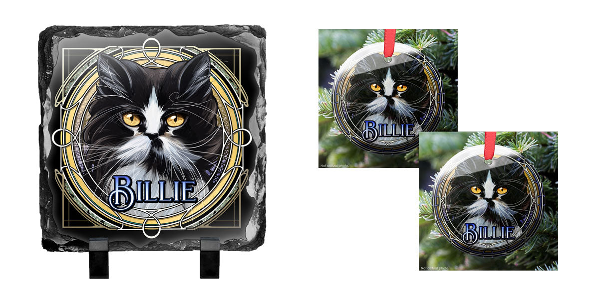 Purrfect Portrait Package